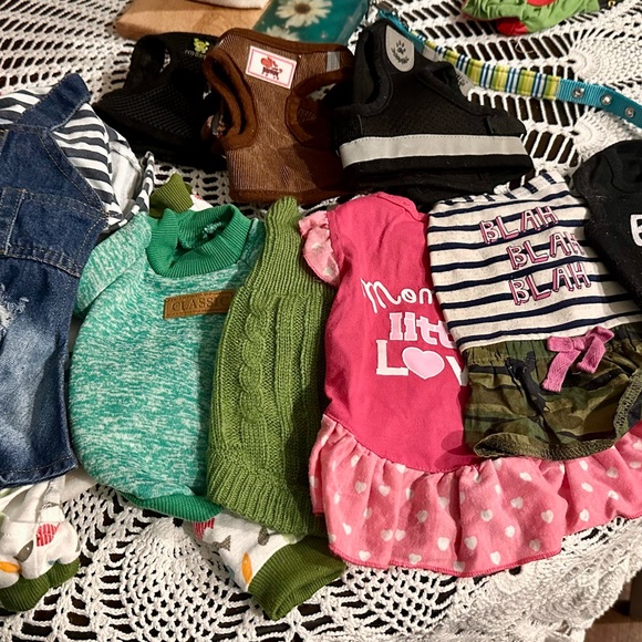Assorted Dog Clothing Bundle - Picture 1 of 1